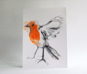 ROBIN 02 - Petra Lunenburg Illustration