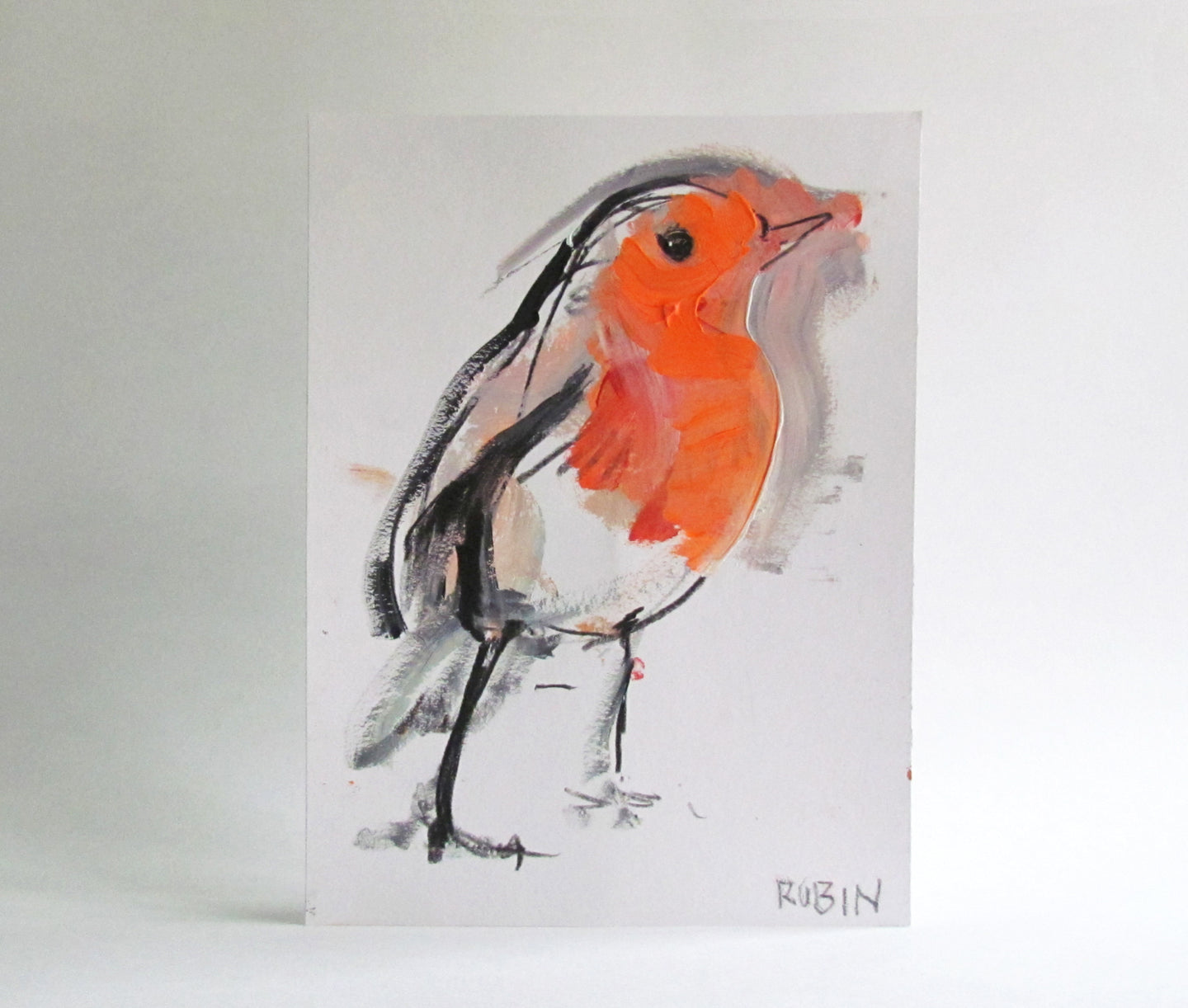 ROBIN 05 - Petra Lunenburg Illustration